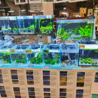 Endler wingei varie tipologie