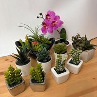 Stock 11 piante artificiali decorative