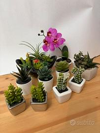 Stock 11 piante artificiali decorative