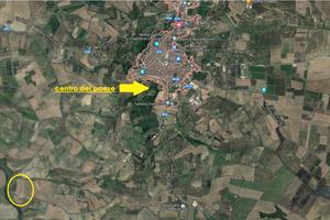 Terreno in contrada cigno 8 ettari rif.0740