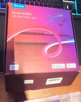 Govee LED neon rope light