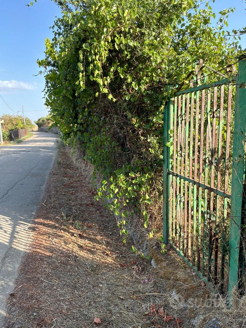 2 Terreni Uliveti - Castellana Sicula (PA) - Vista 4