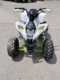Quad 250