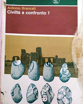Civiltà a confronto Vol 1    Brancati