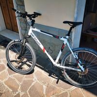 MountainBike Muscolare RockRider 5.3