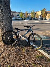 bici stb grey & yellow