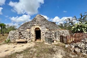 CASA DI CORTE A CEGLIE MESSAPICA
