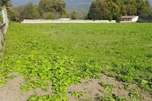 Terreno di 4724 m² a Cicciano
