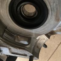 carter vespa hpv monofilo