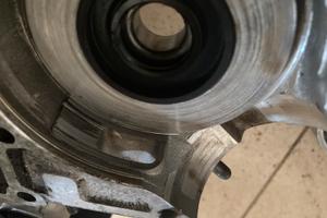 carter vespa hpv monofilo