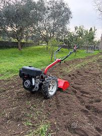Motocoltivatore Valpadana 10 cv