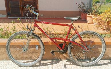 MTB biammortizzata