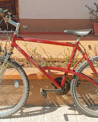 MTB biammortizzata