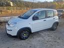 fiat-panda-1-0-hybrid-2022