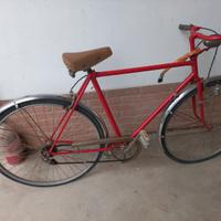 bicicletta uomo sportiva 