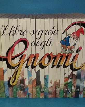 IL LIBRO SEGRETO DEGLI GNOMI