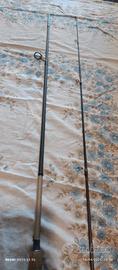 Canna da pesca spinning 