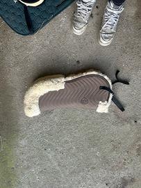 Agnellino sottosella