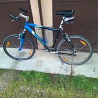 bicicletta uomo Mountain bike