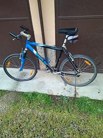 bicicletta uomo Mountain bike