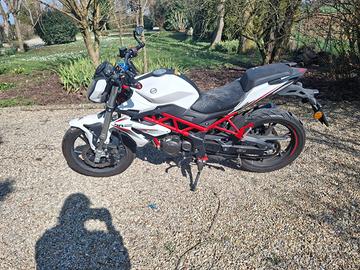 Moto Benelli Bn 125 anno 2022