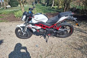 Moto Benelli Bn 125 anno 2022