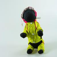 impermeabile per cani