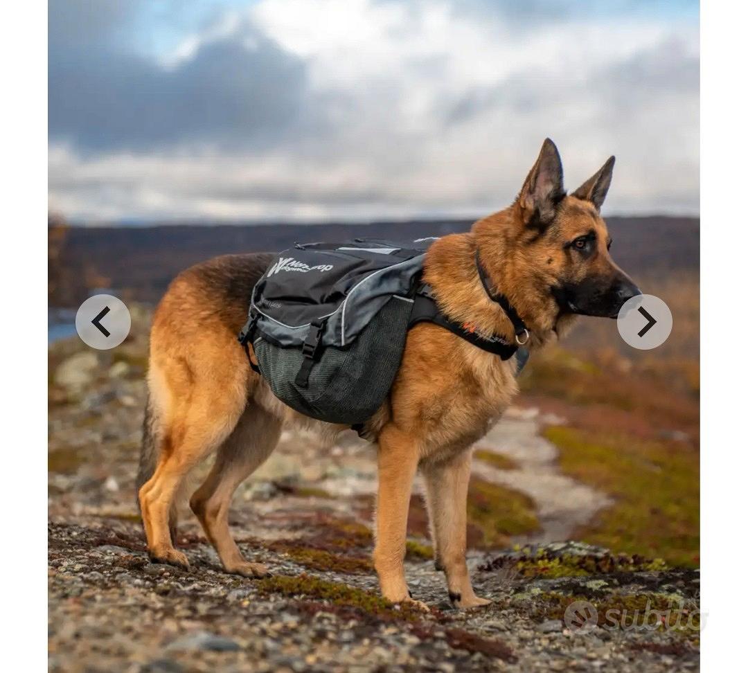 Zaino per sale cani trekking