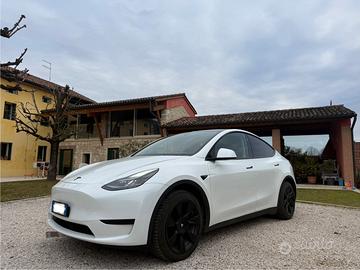 Tesla Model Y RWD