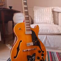 Ibanez semiacustica elett. + custodia + tracolla