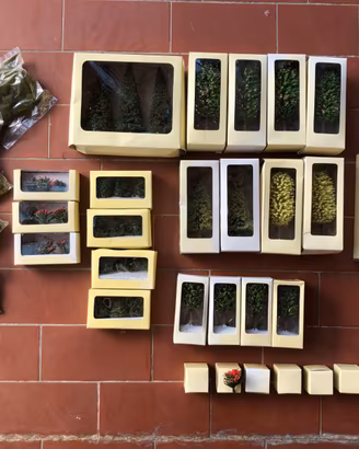 trenini HACHETTE FS  erba alberi e vegetazione  HO