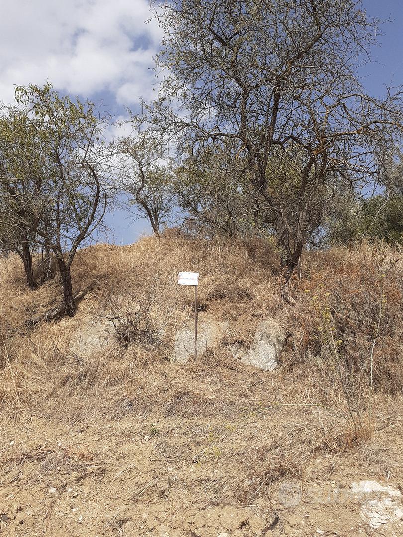 Vendita terreno con rudere - Vista 3
