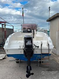 Barca open 4,5m , motore 40cv e carrello