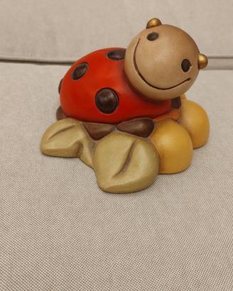 coccinella thun