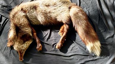 Stola sciarpa vera volpe argentata