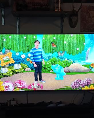 TV SAMSUNG QE50Q80TAT
