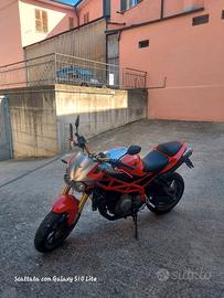  corsaro morini