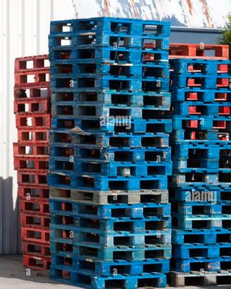 Pallet Epal Multicolor