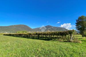 TER. AGRICOLO A CAPRINO VERONESE