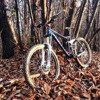 Kona stinky 6