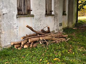 legno in omaggio