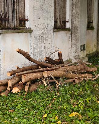 legno in omaggio