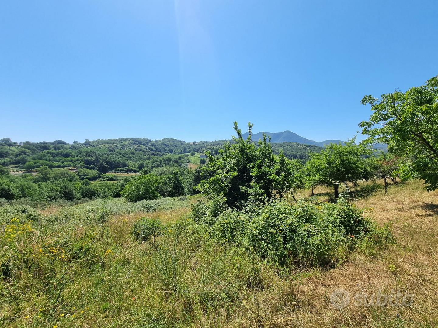 Due lotti di terreno di mq 9000 - Vista 3