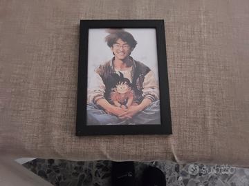 quadretto cornice 13x18 dragonball torihama