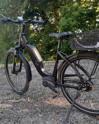 city ebike Falter