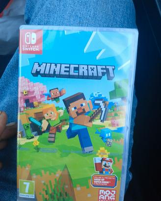 Minecraft Nintendo switch 