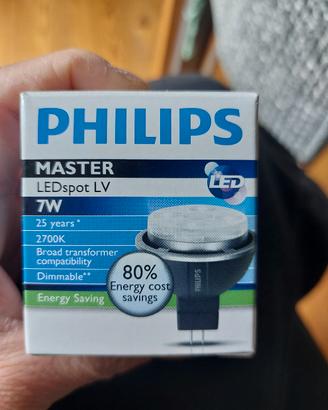 lampadina Led Philips