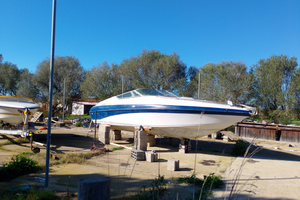 Crowline 225 ccrr 7 metri