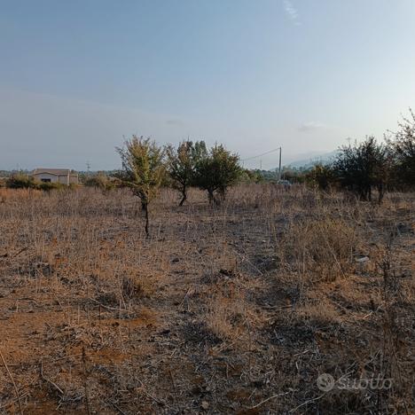 Terreno agricolo