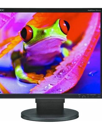 Monitor NEC EA191M 19" 1280X1024 VGA DVI
